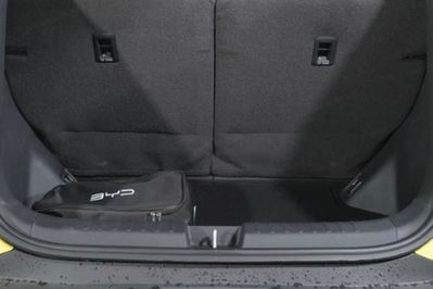 BYD Dolphin Surf Boost