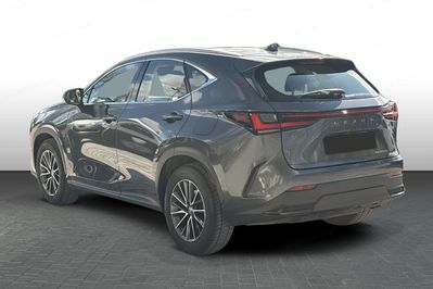 Lexus NX 350h Business AWD