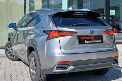 Lexus NX 300h Elegance Optimum AWD