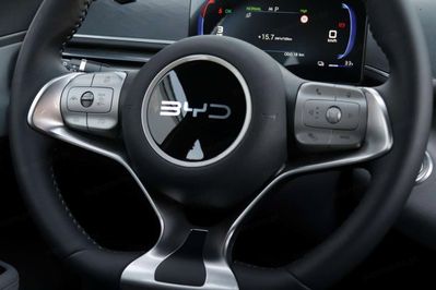 BYD Dolphin Surf Boost