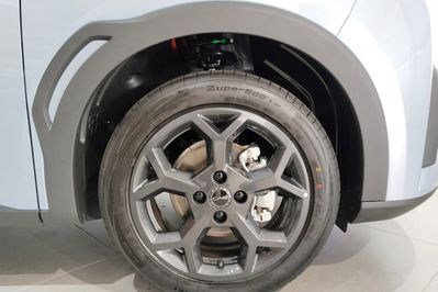 BYD Dolphin Surf Boost