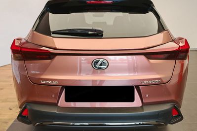 Lexus UX 300h F Sport Design 2.0 Hybrid Dynamic Force AWD