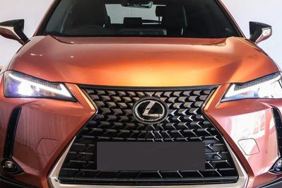 Lexus UX 300h Business