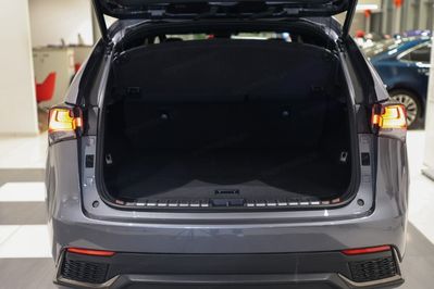 Lexus NX 300h F Sport AWD