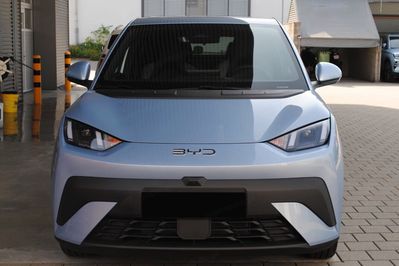 BYD Dolphin Surf Boost