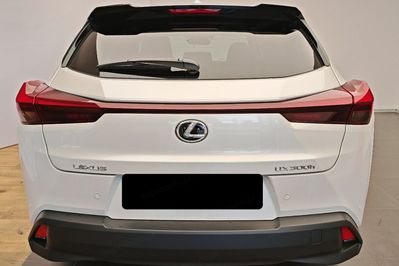 Lexus UX 300h Business 2.0 Hybrid Dynamic Force