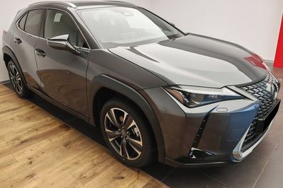 Lexus UX 300h Business 2.0 Hybrid Dynamic Force