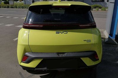 BYD Dolphin Surf Comfort