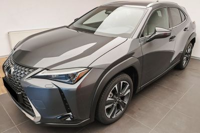 Lexus UX 300h Business 2.0 Hybrid Dynamic Force