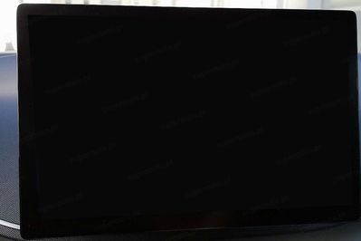 BYD Dolphin Surf Boost