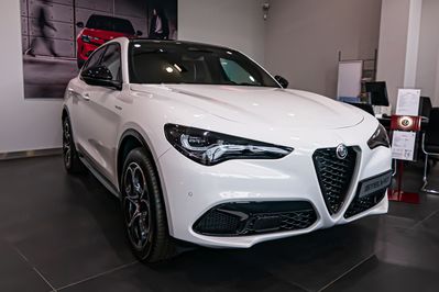Alfa Romeo Stelvio 2.0 Turbo Veloce Q4