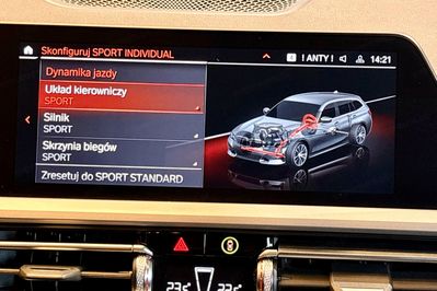 BMW Seria 3 318i Advantage aut