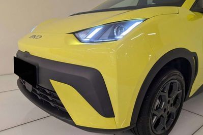 BYD Dolphin Surf Boost