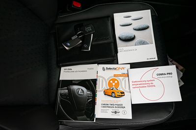 Lexus UX 250h