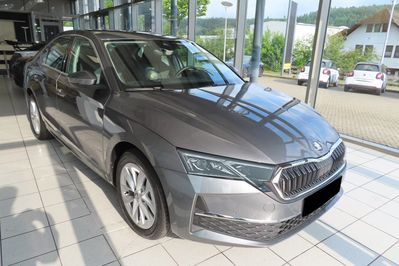 Skoda Octavia Edition 130 Selection 2.0 TDI  DSG