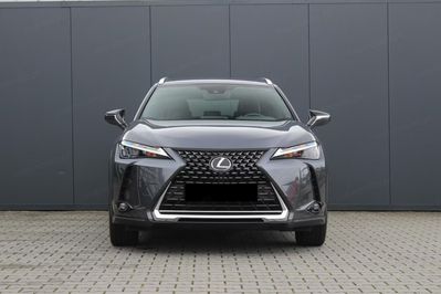 Lexus UX 300h Business