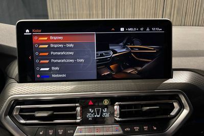 BMW X4 xDrive20i mHEV sport-aut