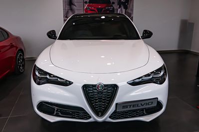 Alfa Romeo Stelvio 2.0 Turbo Veloce Q4