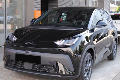 BYD Dolphin Surf Boost