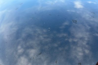 Nissan Qashqai Tekna+ 1.5 E-Power AT