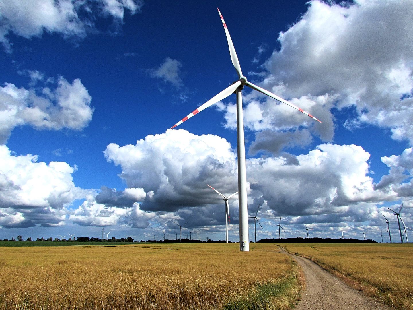 Energetyka Wiatrowa Przyniesie Oszczędności. Chodzi O Miliardy