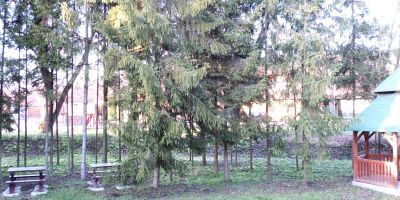 Öreg Bence Háza Füzérkomlós - foto 5