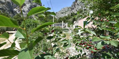 Apartment Petea Omis - foto 4