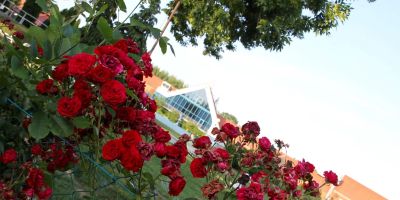 Hévíz Springs Resorts**** Kehidakustány - foto 4