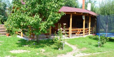Pensiunea Silba Vad - foto 4