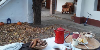 Kis Ház Apartman Tiszaszőlős - foto 3