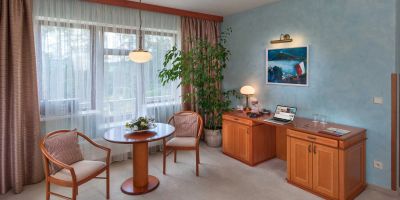 APRIL HOTEL PANORAMA Rychnov nad Kněžnou - foto 3