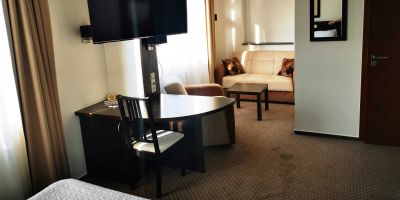 HOTEL LUDMILA Mělník - foto 5