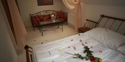 Pension Konopiště Benešov - foto 4