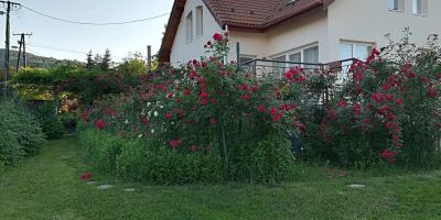 Villavölgy Vendégház Dömös - foto 5