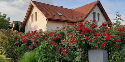 Villavölgy Vendégház Dömös - foto 3