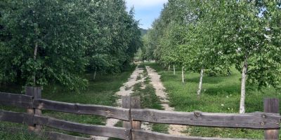 Pilis Völgye Lovas Vendégház Pilisszántó - foto 3