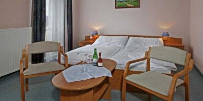 Hotel Paris Mariánské Lázně - foto 5