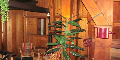 Hotel Starý Mlýn Železný Brod - foto 3