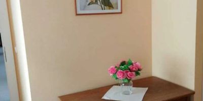 Apartmány Český Dvůr Mariánské Lázně - foto 4