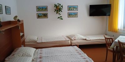 Penzion Lido Mariánské Lázně - foto 3