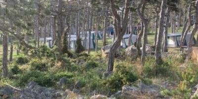Ražanac Mobilhome Planik - foto 4