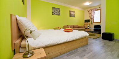 Wellness penzion EVA + Apartmány Pod Čerťákem Dolní Moravice - foto 3