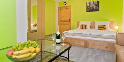 Wellness penzion EVA + Apartmány Pod Čerťákem Dolní Moravice - foto 5
