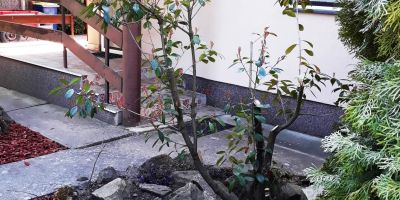 Tiszalöki Apartmanház Tiszalök - foto 3