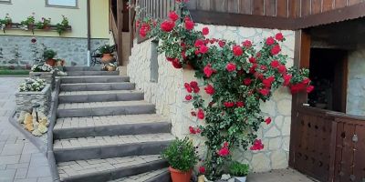 Casa de oaspeți Cifra Sâncraiu - foto 3