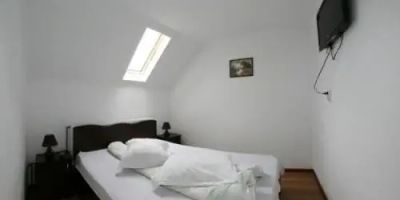 Pensiunea Iuliana Căpățânenii Pământeni - foto 4