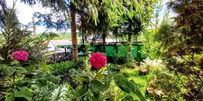 Pensiunea Agroturistica Piscul Soarelui Câmpulung - foto 4