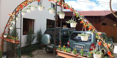 Casa Piscu Ioanei Poiana Mărului - foto 4