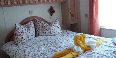 Casa de oaspeți Pinul Argintiu Borzont - foto 2