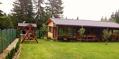 Casa de oaspeți Pinul Argintiu Borzont - foto 4